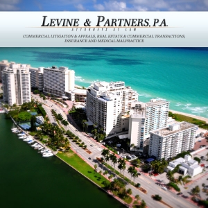 levine-law-firm-header-600x600-miami-6