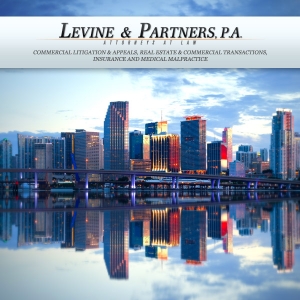 levine-law-firm-header-600x600-miami-8