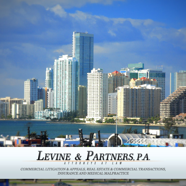 levine-law-firm-header-600×600-miami-4 Levine Law Firm Logo