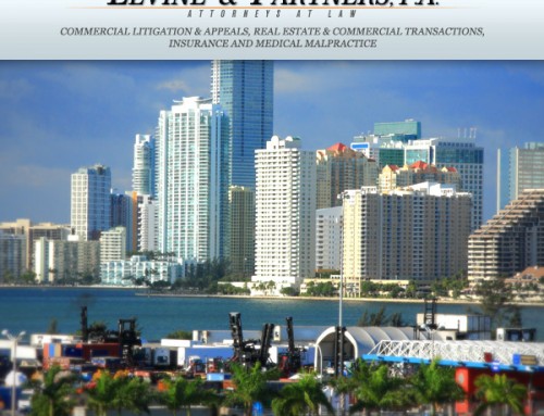 Welcome to Levine & Partners Law Firm in Miami!